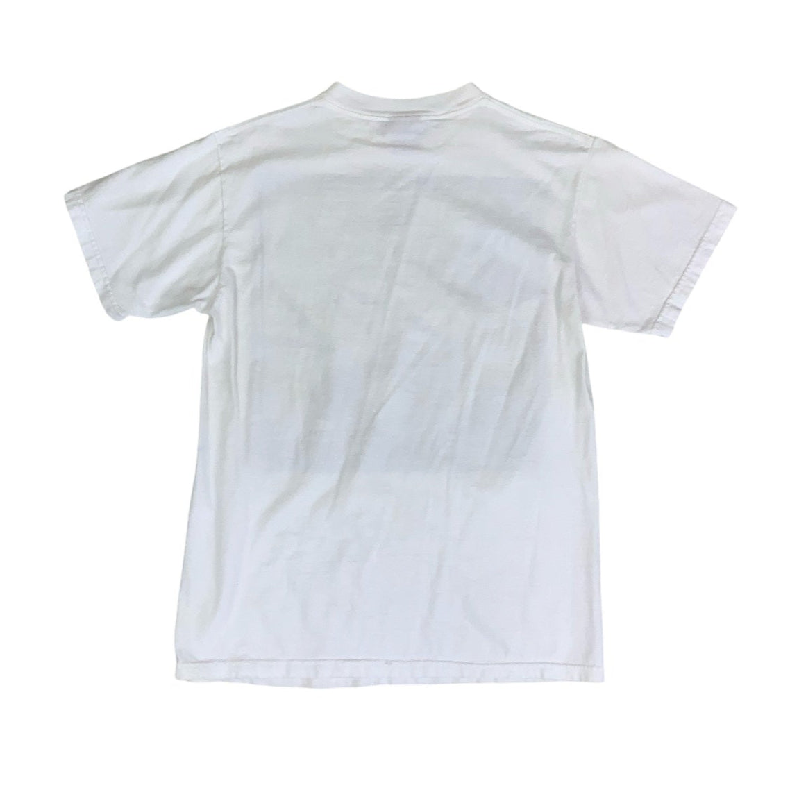 Vintage 90s 'Oneita Power-T' Pre-Shrunk White Gecko Maui Hawaii Kauai Graphic T-Shirt S
