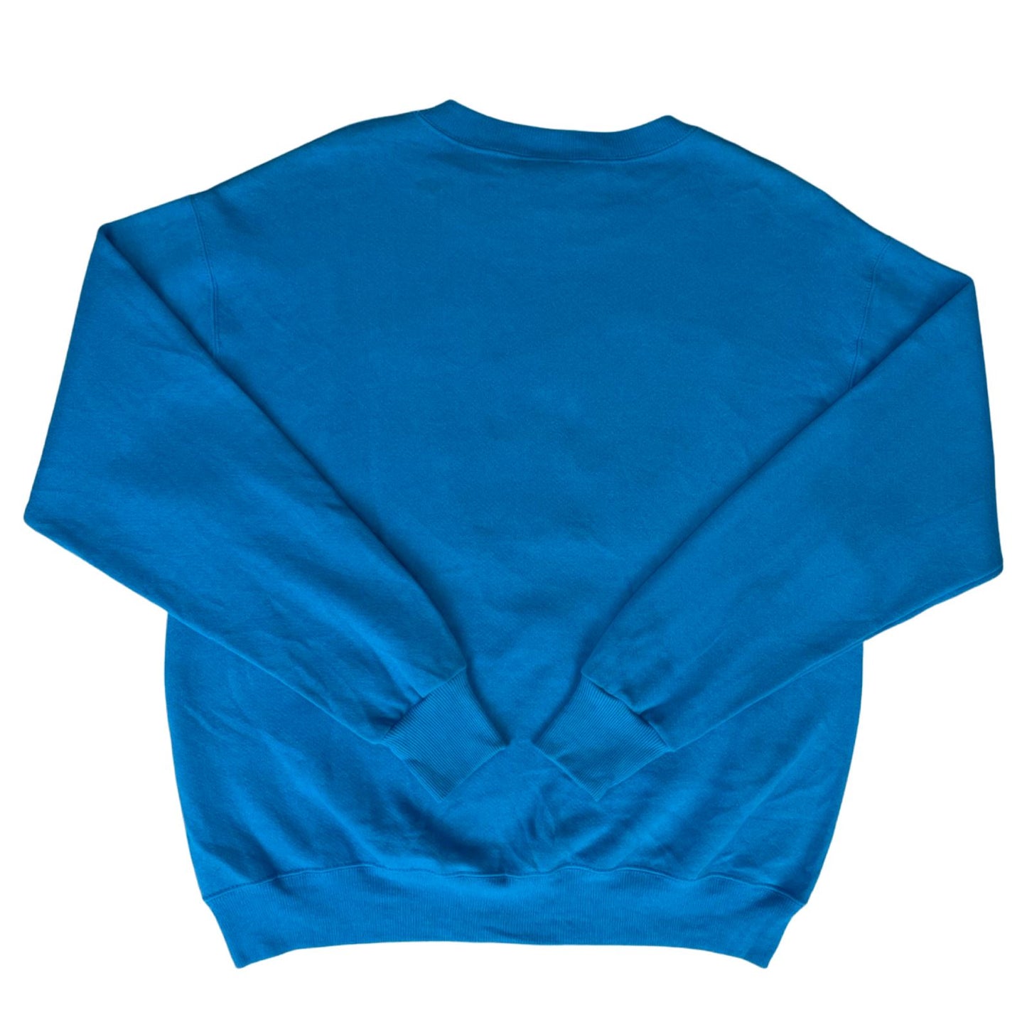 Vintage 90s 00s Blue Lee Sport Carlonia Panthers NFL Embroidered Sweater