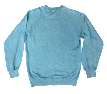 VTG 1970s PINK PANTHER AMERICAN FOOTBALL SWEATSHIRT REVERSE WEAVE  BLUE SMALL