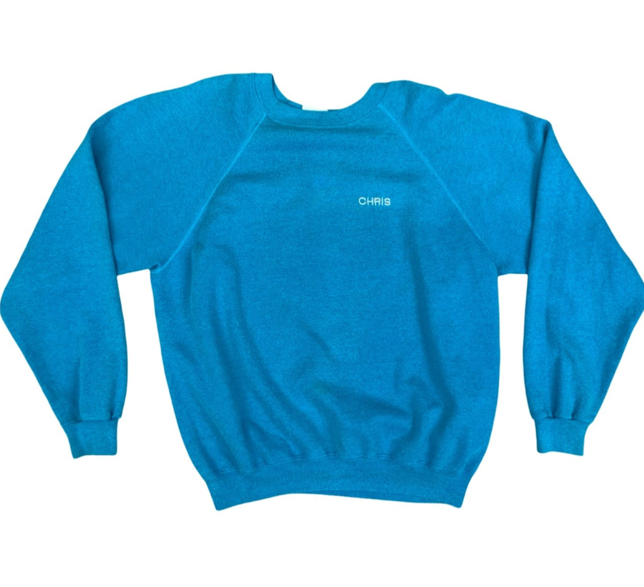 Vtg 90s Blue USA Hanes 50/50 Earth: Abuse It Or Lose It Back Print Sweatshirt L