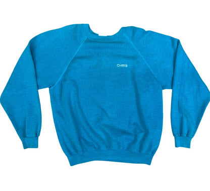 Vtg 90s Blue USA Hanes 50/50 Earth: Abuse It Or Lose It Back Print Sweatshirt L