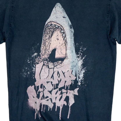 Vintage y2k 'Fruit of the Loom' Limp Bizkit Band Shark Attack Graphic Tee S M