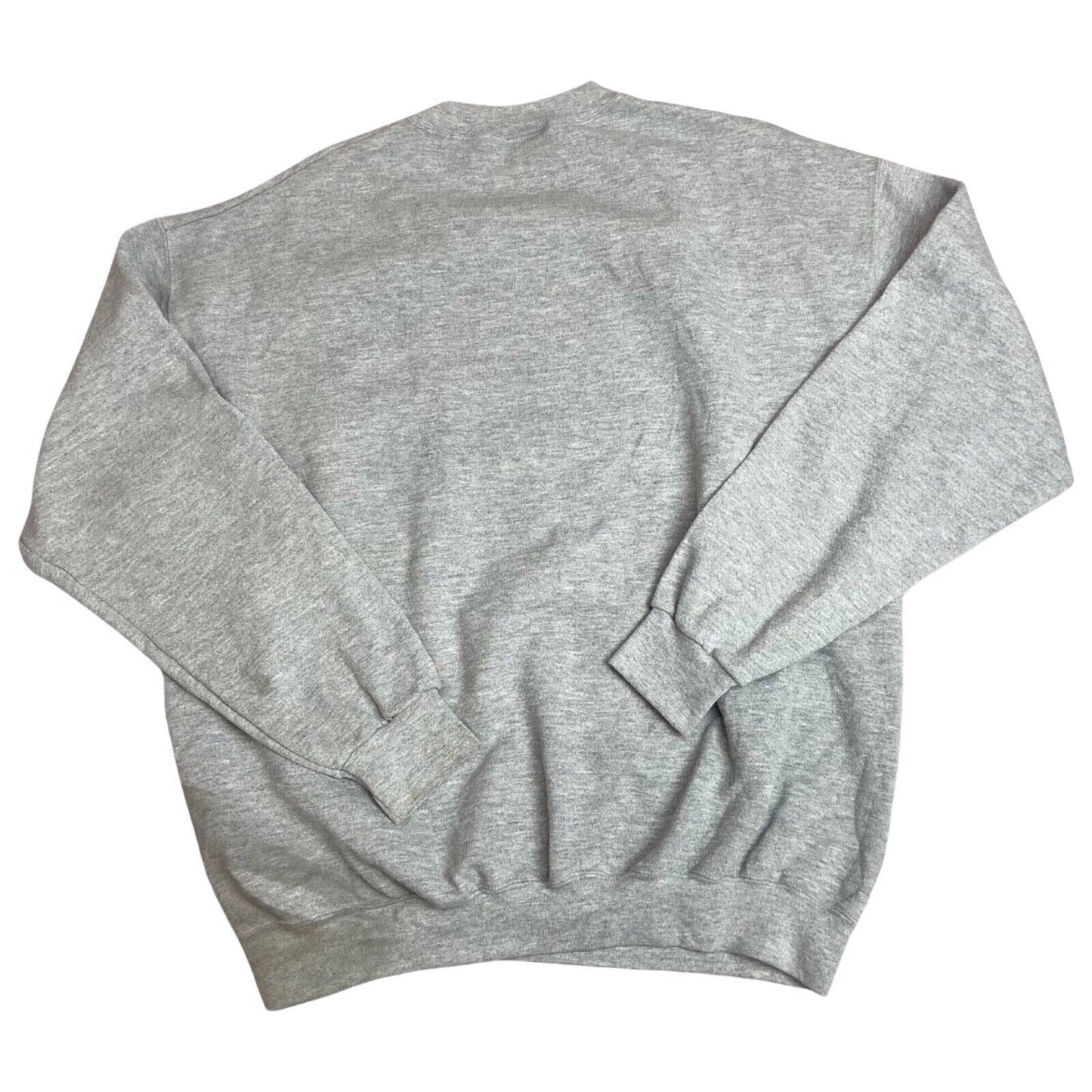 Vintage 90s 00s Grey Chase Authentic NASCAR Dale  Earnhardt Jr Jumper XL