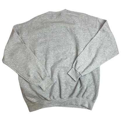 Vintage 90s 00s Grey Chase Authentic NASCAR Dale  Earnhardt Jr Jumper XL