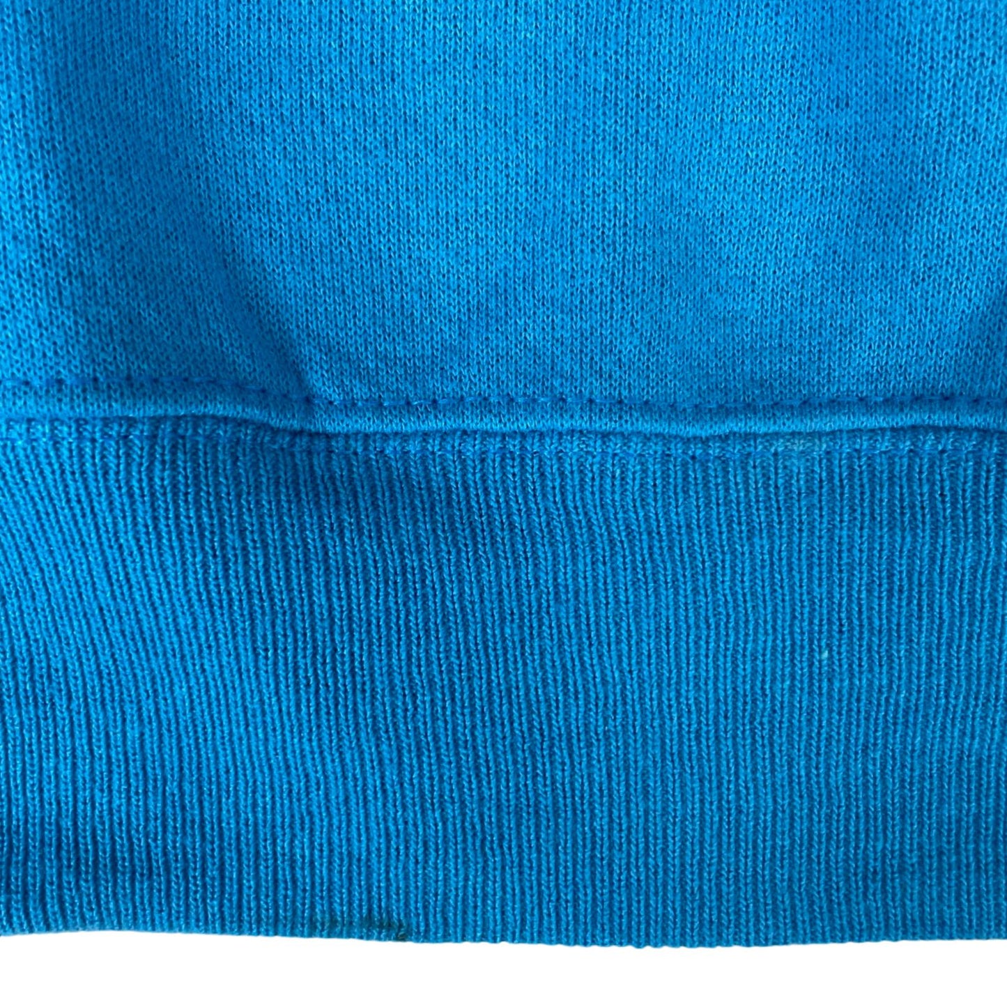 Vintage 90s 00s Blue Lee Sport Carlonia Panthers NFL Embroidered Sweater