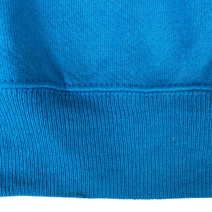 Vintage 90s 00s Blue Lee Sport Carlonia Panthers NFL Embroidered Sweater