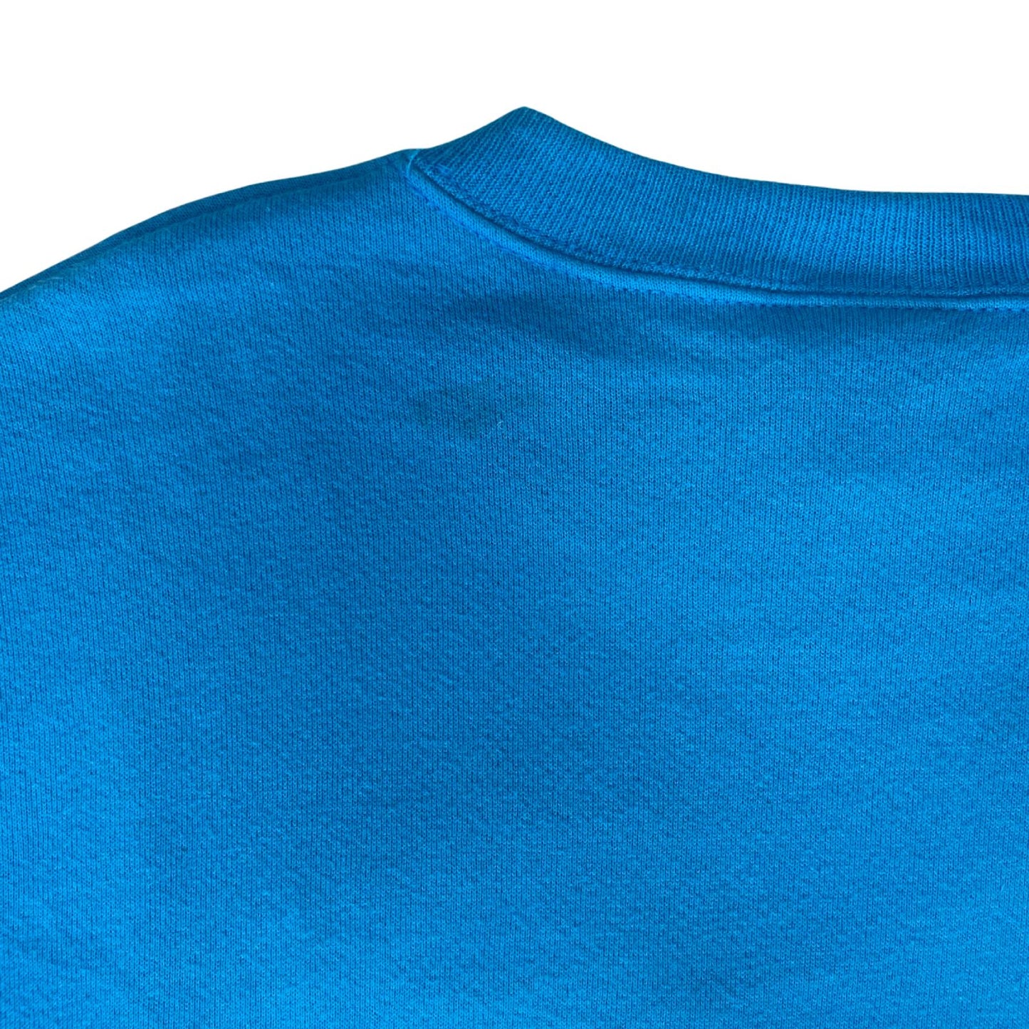 Vintage 90s 00s Blue Lee Sport Carlonia Panthers NFL Embroidered Sweater